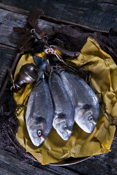 Escalas de peces sobre el besugo — Foto de Stock