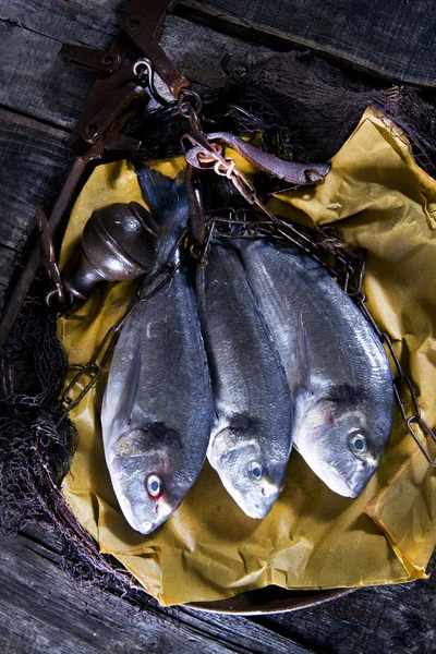 Above Sea Bream Fish Scales — Stock Photo, Image