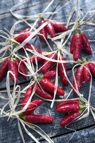 Pequeños chiles rojos picante — Foto de Stock