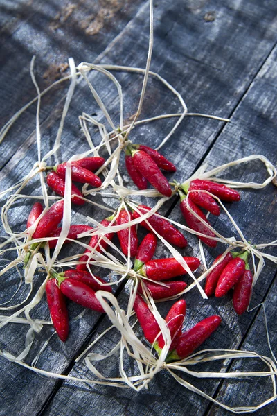 Pequenos pimentões vermelhos picante — Fotografia de Stock