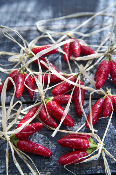 Pequeños chiles rojos picante —  Fotos de Stock