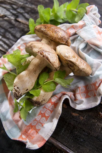 Porcini Mushroom — Stock Photo, Image