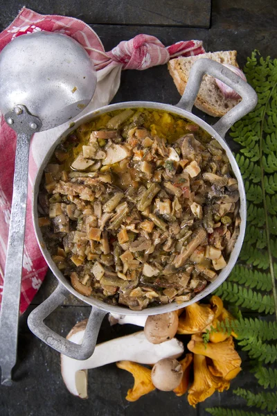 Sopa de champiñones mixta — Foto de Stock