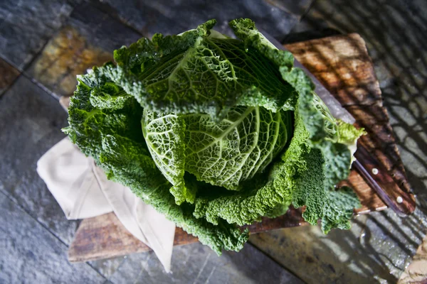 Foglie di cavolo — Foto Stock