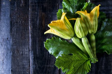 Bahçe, kabak çiçekleri topladım