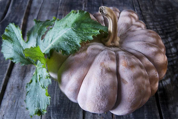 Raccolta della caduta Stagione, Zucca — Foto Stock