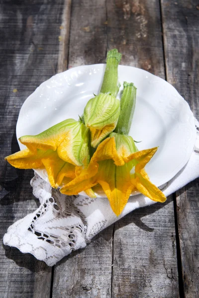 Zucchini-Blüten — Stockfoto