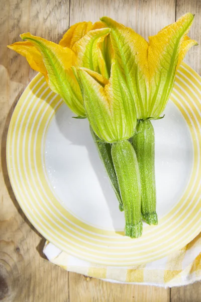 Zucchini Flowers — Stock Photo, Image