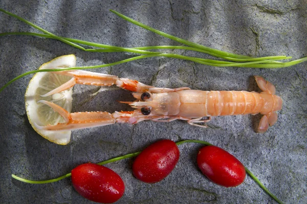 Fresh Shrimp — Stock Photo, Image