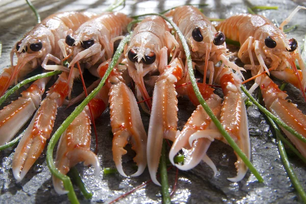 Crevettes fraîches — Photo