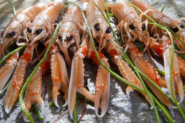 Crevettes fraîches — Photo