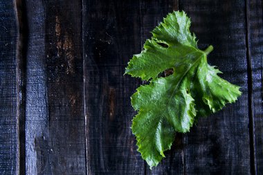 Kabak yeşil yaprakları