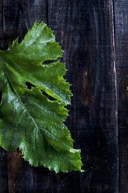 Kabak yeşil yaprakları