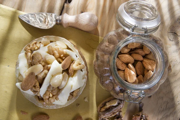 I Dug, pecorino cheese and walnuts almonds — Stock Photo, Image