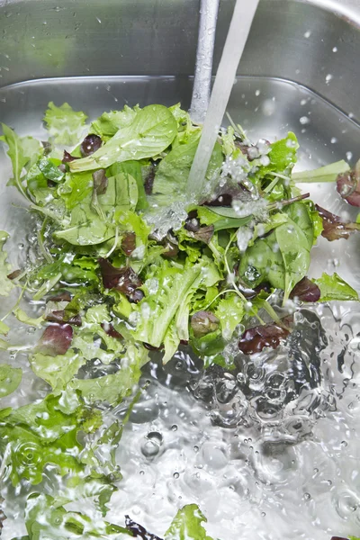 Wash the salad greens — Stock Photo, Image