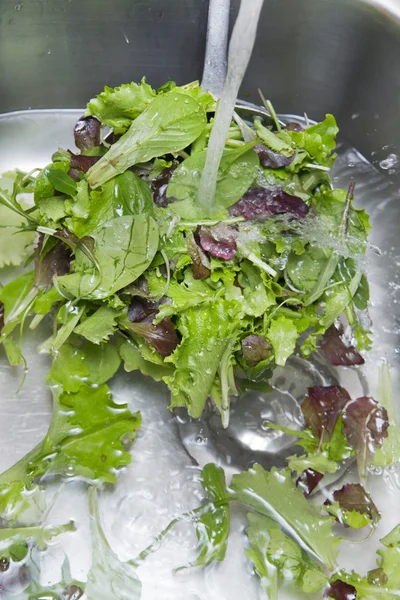 Lavare i verdi insalata — Foto Stock