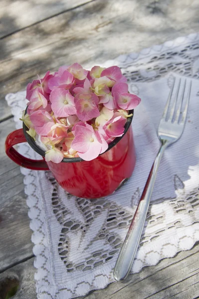 Time of hydrangeas — Stock Photo, Image