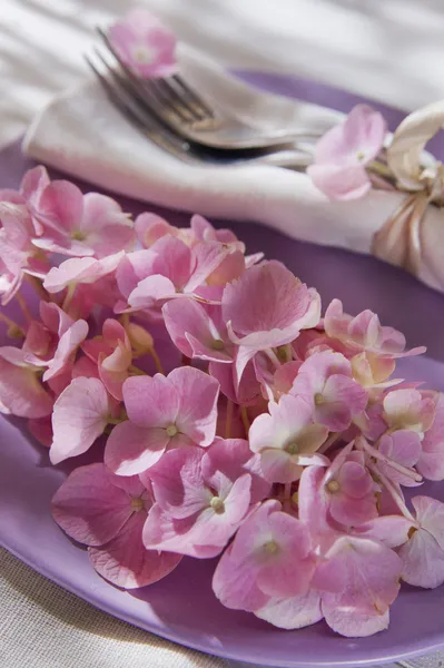 Hortênsias na tabela — Fotografia de Stock