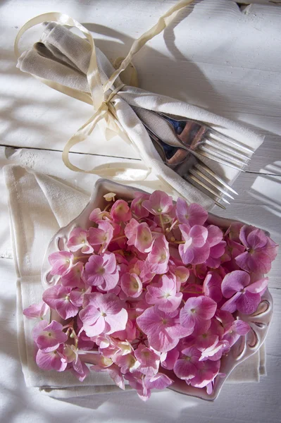 Hydrangeas for the ornament of the table — Stock Photo, Image