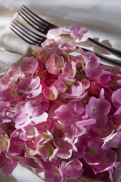 Hydrangeas for the ornament of the table — Stock Photo, Image