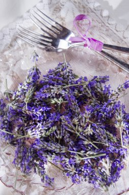 Lavanta çiçeği tanıtımı 