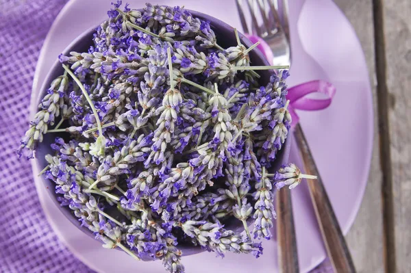 Presentation of lavender flower — Stock Photo, Image