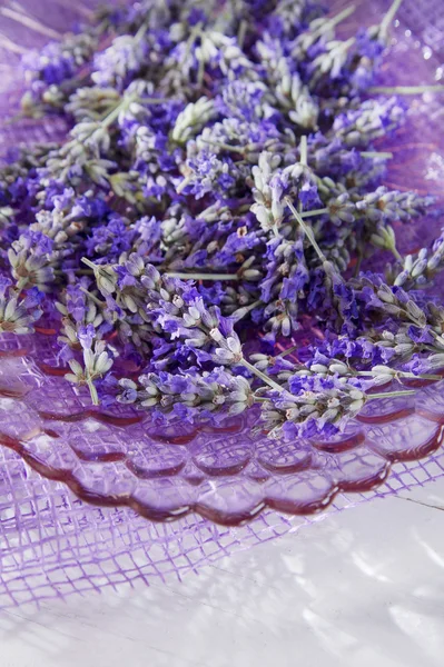 Presentation of lavender flower — Stock Photo, Image