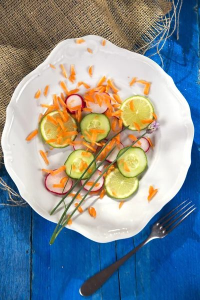 Ředkvička a okurkový salát — Stock fotografie