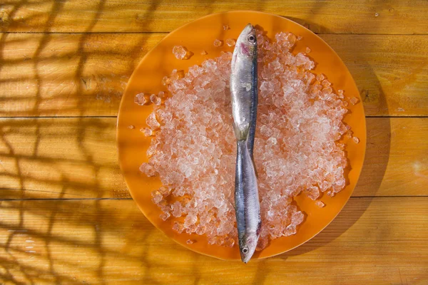 Relógio com serdinha fresca — Fotografia de Stock