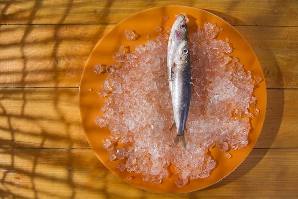 Taze serdine ile saat — Stok fotoğraf