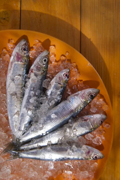 Fresh sardines — Stock Photo, Image