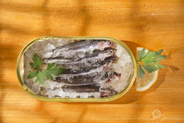 Verse sardines — Stockfoto