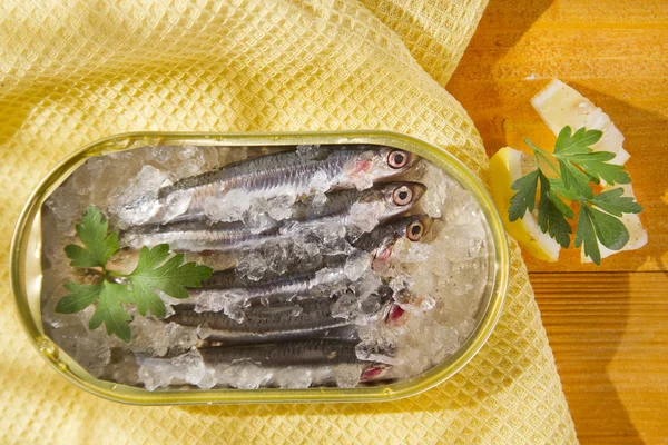 Verse sardines — Stockfoto