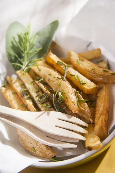 Plate of fries — Stock Photo, Image