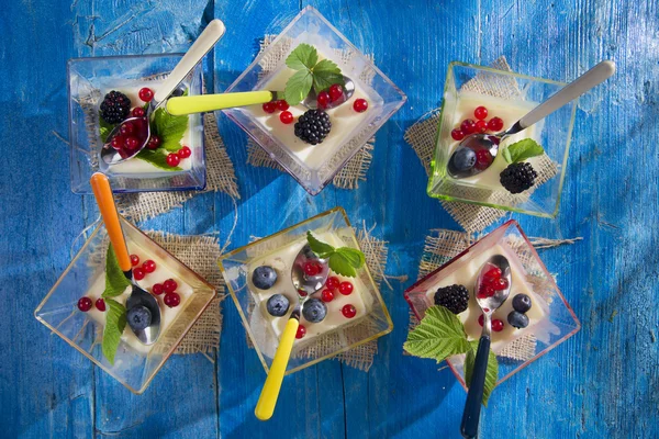 Panna cotta with berries — Stock Photo, Image