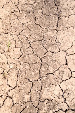 Uzun süren kuraklık nedeniyle çok kuru zeminde çatlaklar