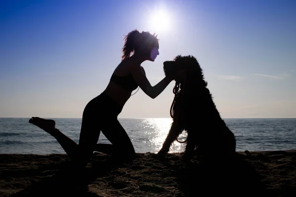 背光的形象描绘了一个年轻女子和她的狗一起在海边 — 图库照片