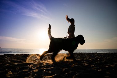 Deniz kenarında köpeğiyle birlikte ışığa karşı koşan bir kız. 