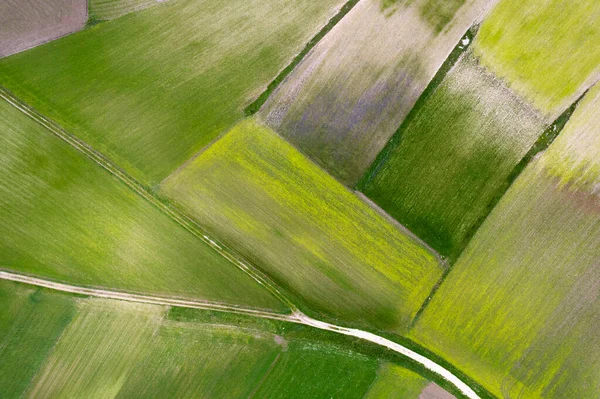 Vedere Aeriană Asupra Compoziției Geografice Câmpurilor Cultivate — Fotografie, imagine de stoc