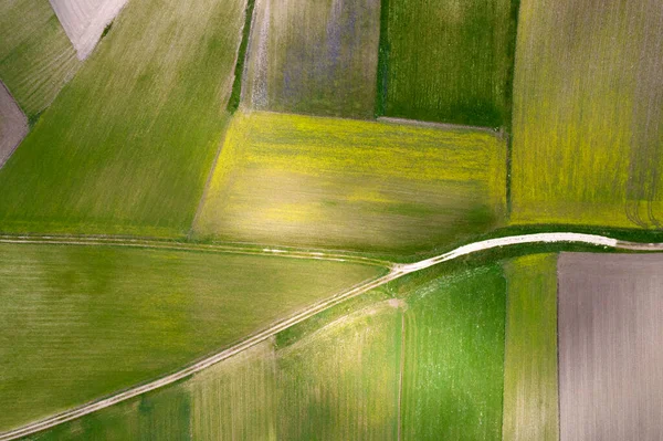 Aerial View Geographical Composition Cultivated Fields — Stock Photo, Image