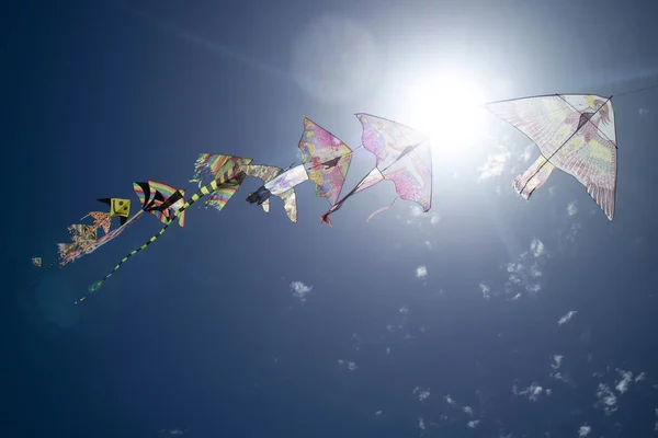 Documentación Fotográfica Serie Cometas Colores Volando Cielo Azul — Foto de Stock