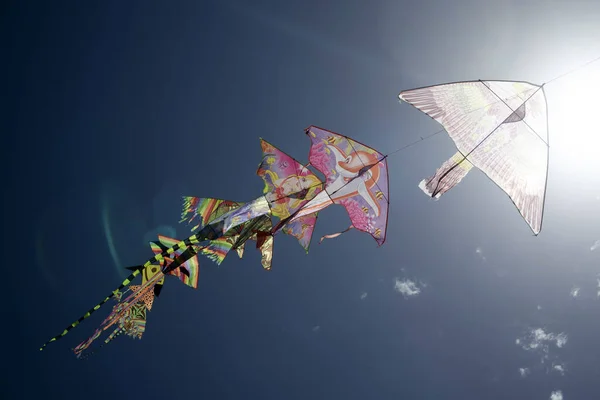 Documentación Fotográfica Serie Cometas Colores Volando Cielo Azul — Foto de Stock