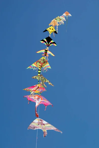 Documentation Photographique Série Cerfs Volants Colorés Volant Dans Ciel Bleu — Photo