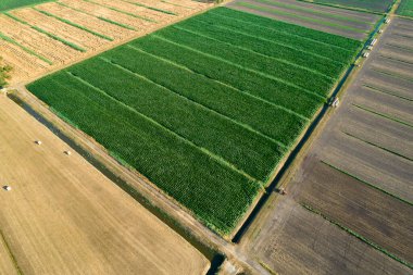 Yukarıdan görülen tarlaların tarlalarının fotografik belgeleri 