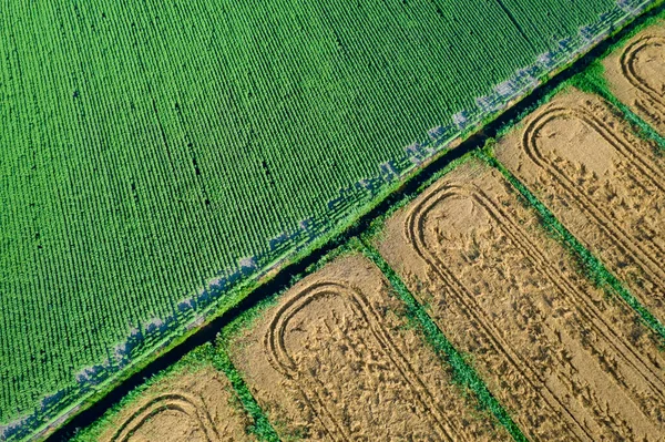 Fotografická Dokumentace Obdělávání Polí Shora — Stock fotografie