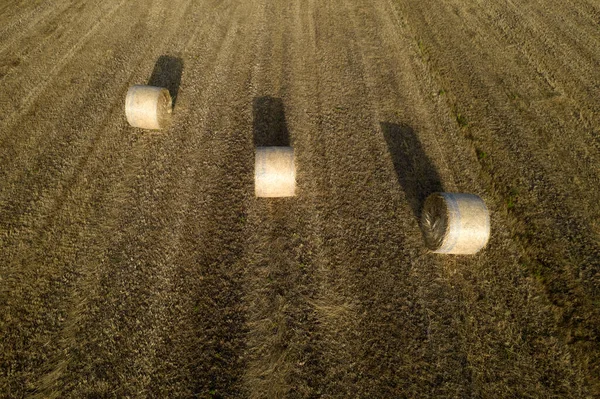 Luchtdocumentatie Van Klassieke Strobalenpersen Velden Het Zomerseizoen — Stockfoto