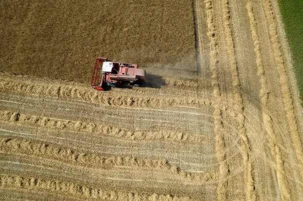 Luftbilddokumentation Der Arbeit Einer Getreideernte Während Der Sommersaison — Stockfoto