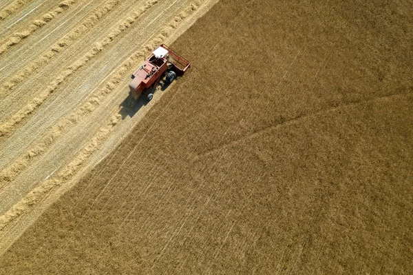Aerial Photographic Documentation Work Grain Harvester Summer Season — ストック写真