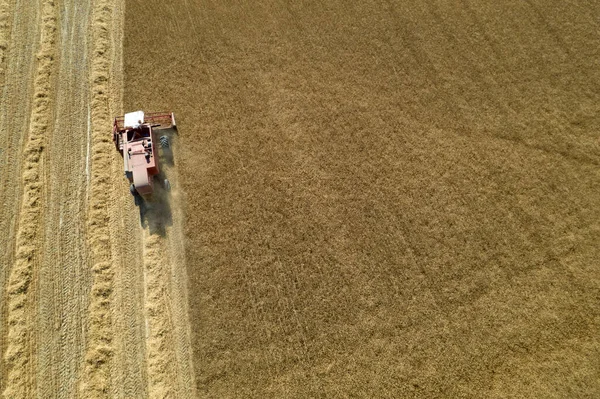 Aerial Photographic Documentation Work Grain Harvester Summer Season — 스톡 사진