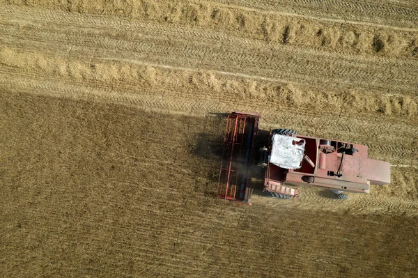 Documentazione Aerea Fotografica Del Lavoro Raccoglitore Cereali Durante Stagione Estiva — Foto Stock